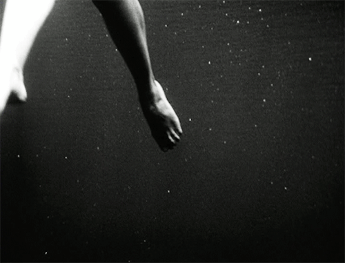 hardcockforhitchcock:Creature From the Black Lagoon (1954)