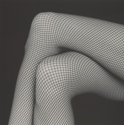 disease:  “LEGS / MELODY” | 1987/90ROBERT MAPPLETHORPE[gelatin silver print | 49.2 × 49.1 cm.]