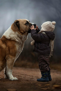 ilaurens:  *** - By: (Elena Shumilova) 