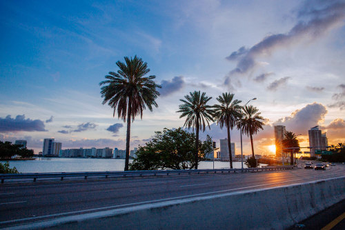 vanstyles:  Miami