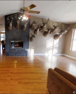 terriblerealestateagentphotos:“Think we could ask them to rearrange us so I’m nearer the window?”