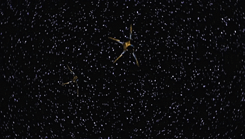 spockvarietyhour: Excalibur and Victory’s first encounter with Drakh fighters