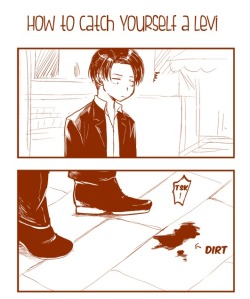 konekojita: How to catch Levi (manga by: