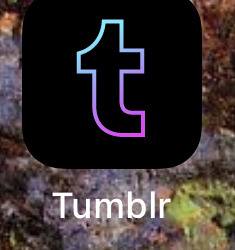 Tumblr media