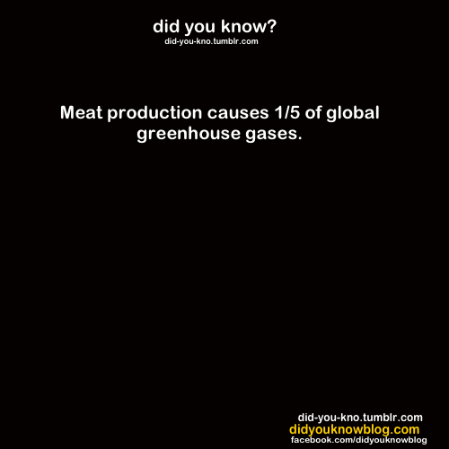 did-you-kno:  Source  werdet Vegetarier/Vegan !!!