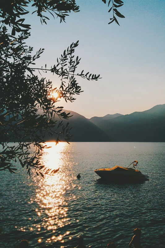 wolftramp:  Vintage Blog  
