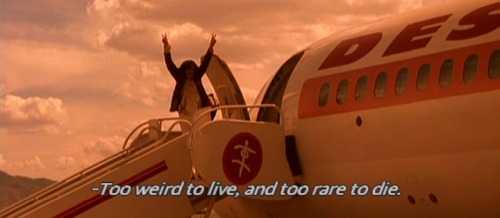 Fear and Loathing in Las Vegas