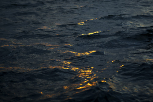 arrestus:Glow From The Depth  By Salar Kheradpejouh