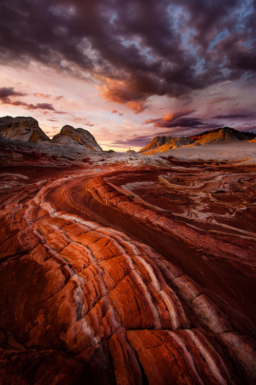 brutalgeneration:  By Dan Ballard Photography