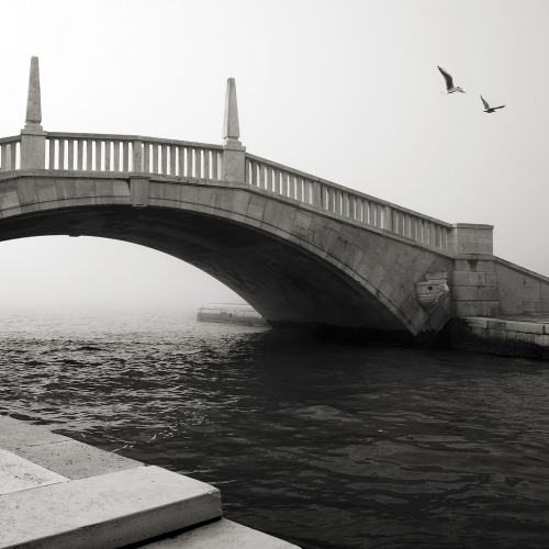 bruisedandleftbehind:   early morning mist in Venice - © Carsten Heyer