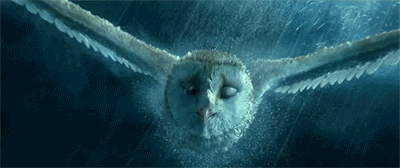 ricochethistory:  Will I ever stop being amazed at how beautiful this movie is? 
