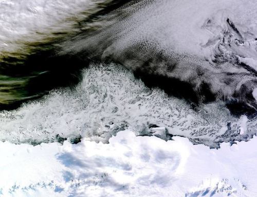 Clouds and iceIt is hard to distinguish in this photo taken off the north coast of the icy continent