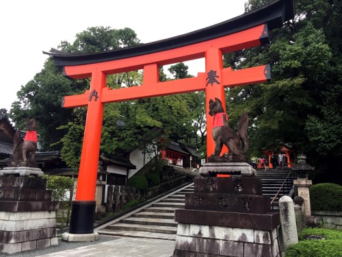 Fushimi Inari Taisha, Kyoto photos by Kobalt