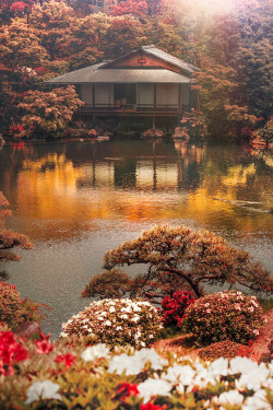 plasmatics-life:  Paradise ~ By Kiyoshi Iida 