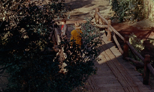 honeyfilmclub