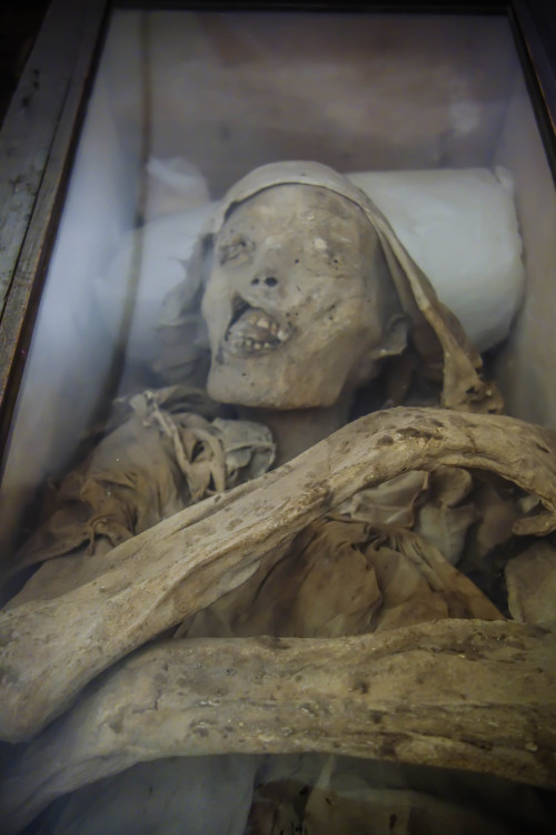 allthesaintsyoushouldknow:  The Carmelite Monastery of San Ángel Mexico City, Mexico  I’m currently working on a full piece for Atlas Obscura on theses guys but I couldn’t wait to share the photos. These are naturally occurring mummies on display