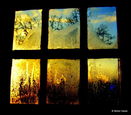 Window View Copyright ©Stefan Haase All Rights Reserved