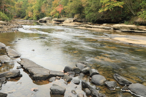 The Middle Fork River takes a gentle, gorgeous turn through the heart of Audra State Park, half a cr