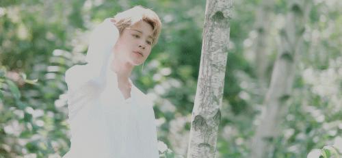 ddaengg: season’s greetings 2019 preview 