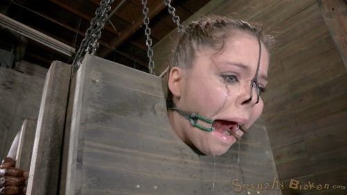 sexslavefantasy:  thepublicproperty:  I can fit in that box, I can live in that box..  Whore in a box