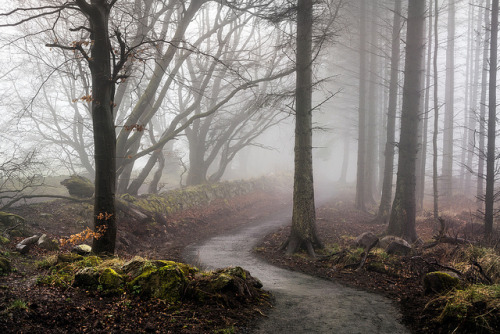 Foggy Walk by Gareth Paxton on Flickr.