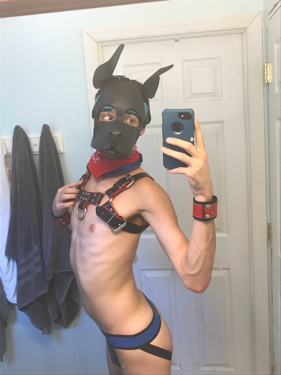 pupholstergunner:  I may look innocent but those who know me, know that’s false