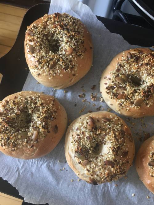 first time making bagels this morning 10/10!!!! 