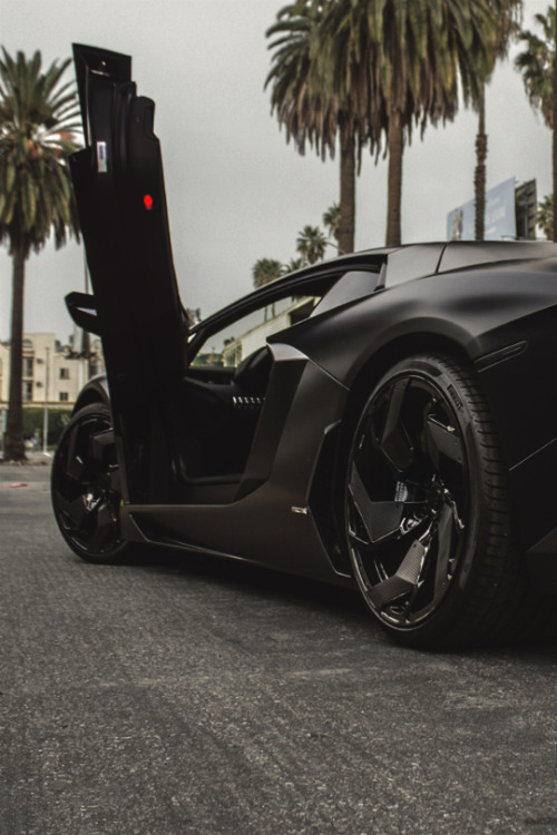 XXX azearr:  Matte Aventador  photo