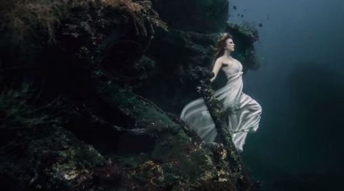 Porn bobbycaputo:  Stunning Underwater Shipwreck photos