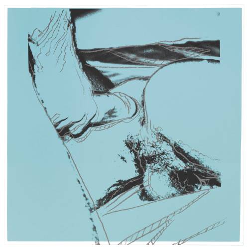 dieinternationale:  Andy Warhol, Sex Parts, 1978.