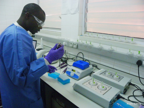 Photo: An MSF staff member uses a SAMBA tool for rapid viral load monitoring. Malawi 2011 © Nabila Kram
MSF Research Points to Ways to Expand Viral Load Testing for HIV in Developing Countries
“Viral load monitoring—a test that measures the amount of...