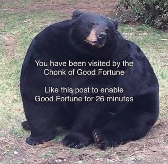dankmemeuniversity: 