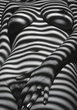 pokeyinak: monchichitamberine:  sculptsocotillo:  Blinded  SculptsO   Shadows    @tantalicangel excellent photo! 