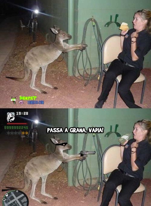 Olá 2-2kos