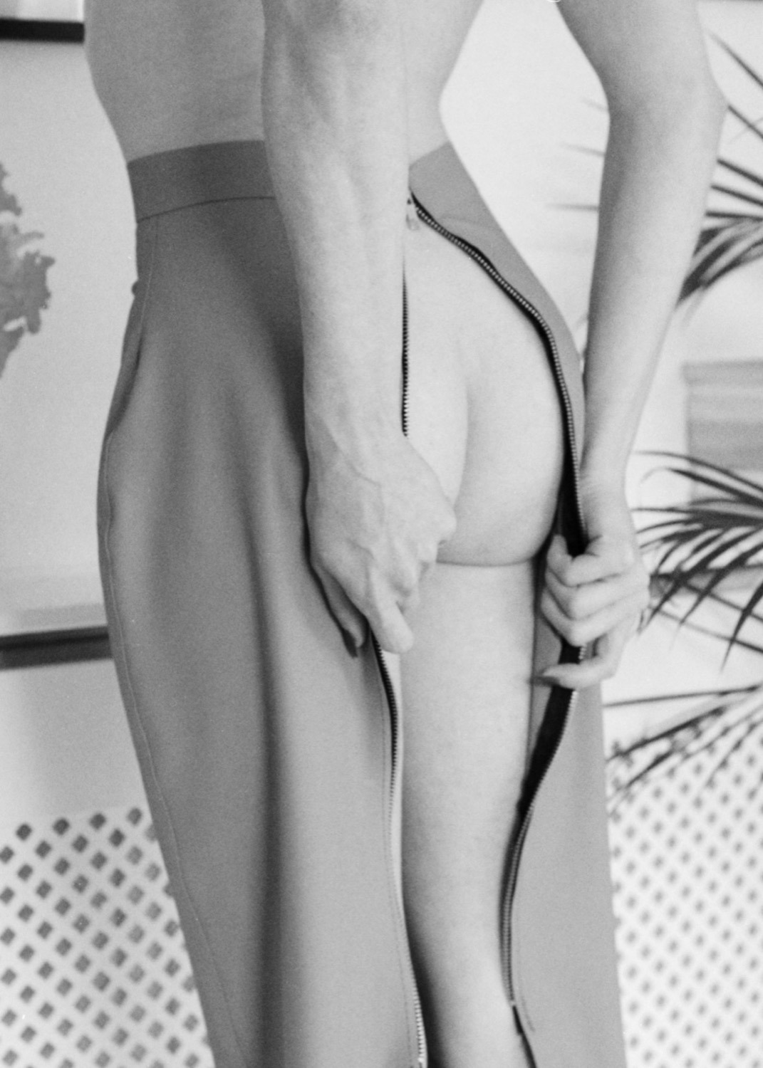 #2951 - Fawnia#2951 – FawniaView On WordPress