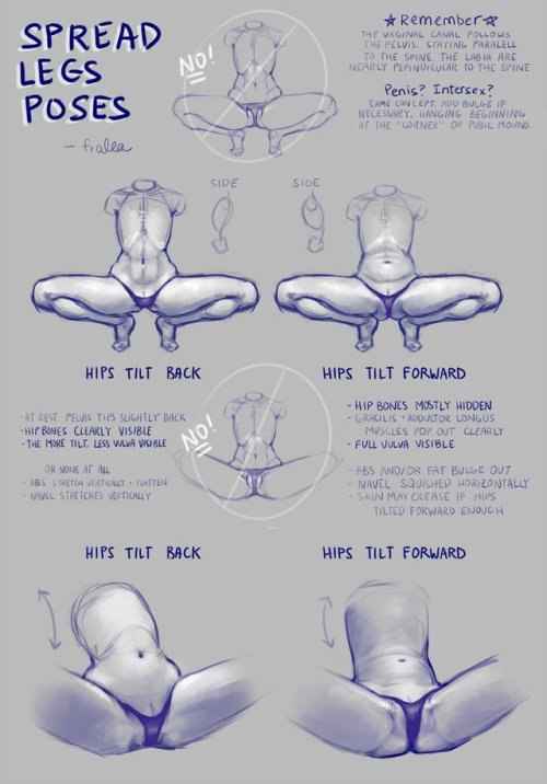 drawingden:Spread Legs Study/Tutorial (panty version) by fralea 