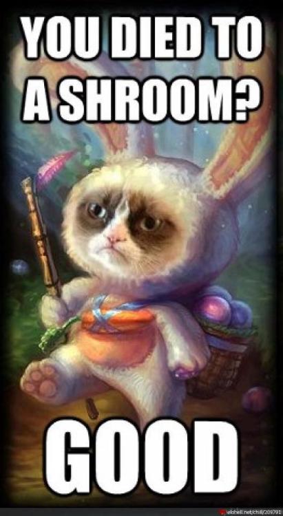 cosplayculture:  Oh grumpy Teemo, wai u so sassy 