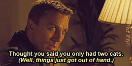 lethal-desires:  Coming Home ~ 00Q AU Spectre Climax“So, tell me their names.” “This one, here, is Richard.” “You named your cat ‘Richard’?“ 