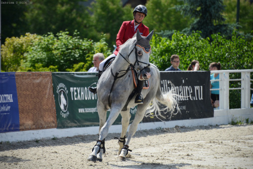 show jumping