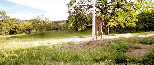 weheartchrisevans:Nobody’s got that flag in seventeen years!