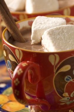 plasmatics-life:  Mexican Hot Chocolate with Homemade Vanilla  |  &lt; recipe 