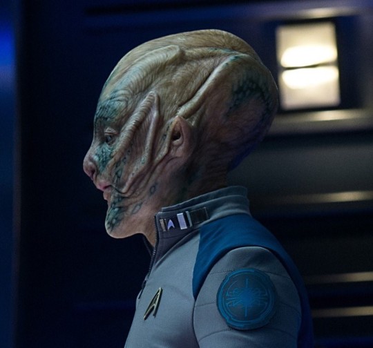 just-a-funny-little-brain: So, I know Suicide Squad won best makeup, but can we just take a moment to appreciate the makeup in Star Trek Beyond anyway? I mean, just look at these: First off, Kalara. The color gradient and the ridges are just gorgeous.