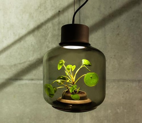 archatlas:       Mygdal Plantlamp We Love Eames 