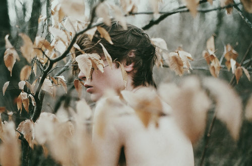 melisica:  (by collinmcadoo)