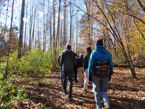 Ivy Creek Natural Area morning group hike with a Master Naturalist identifying trees along the way. 