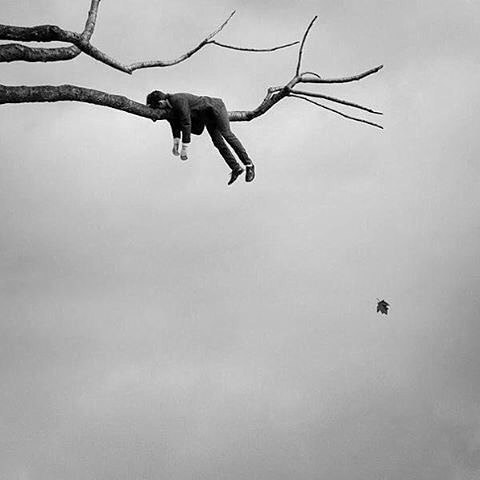 photo by  Brooke Didonato
