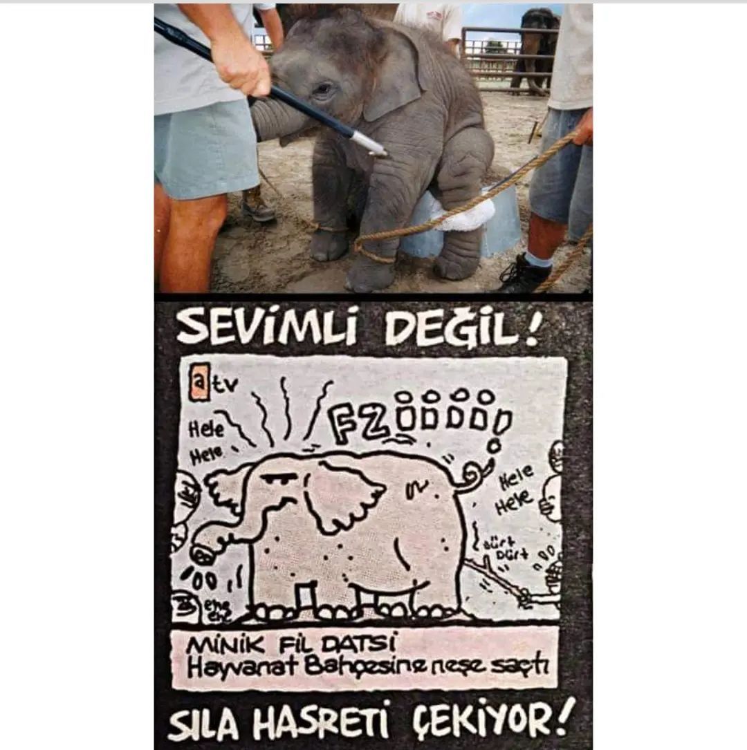 Sevimli değil sıla hasreti...