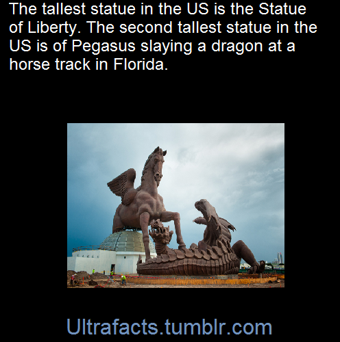 frist-over-easy:  ultrafacts:  Fact Sources: [1] [2] Follow Ultrafacts for more facts