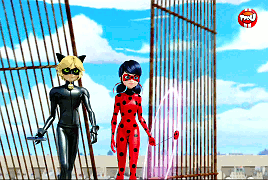 paris-mystere:  We’re a team. If you want to fight me, you’re going to have to