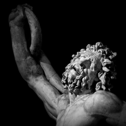 ganymedesrocks:Thank You for a magnificent post of details of the statue of Laocoön and His Son